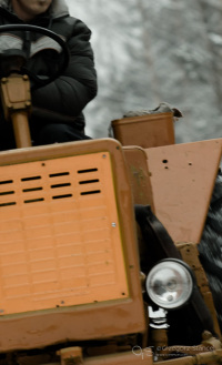 choinka2012-9