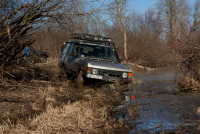 narew-11